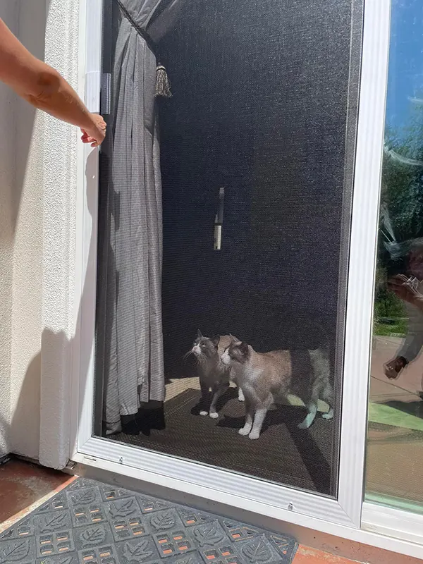 Pet Screen Doors, Screen Doggy Doors & Screen Door Grills