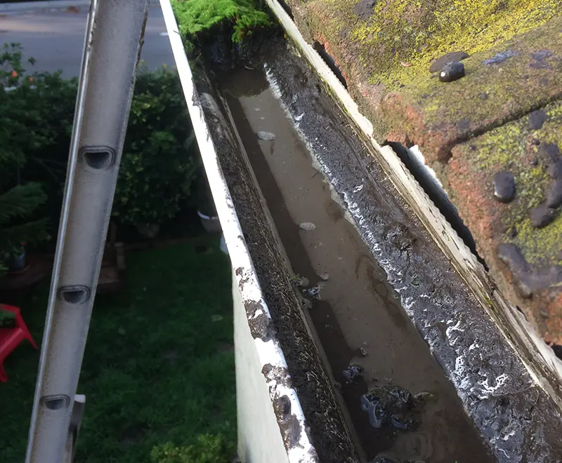 Personalized & Affordable Gutter Cleaning Contractor