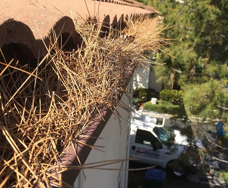 Prompt Gutter Cleaning Company near Santa Ana, CA