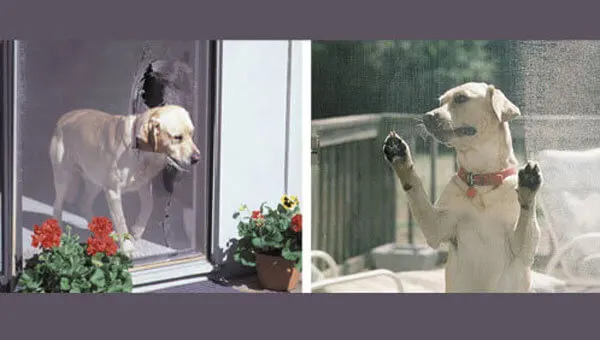 Custom Pet Screen & Screen Dog Doors Huntington Beach