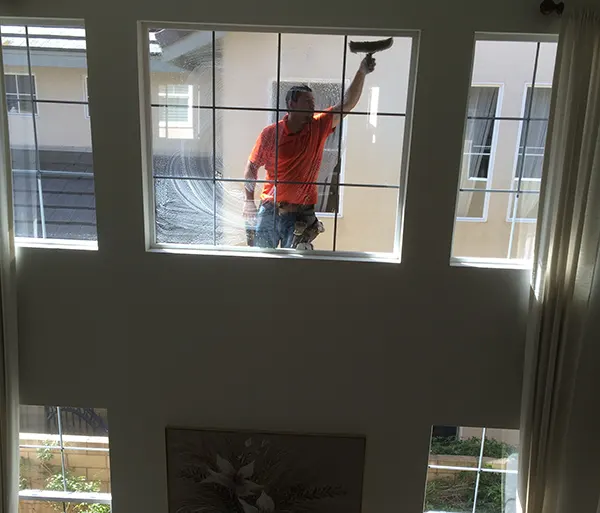 Same or Next-Day Window Screen Repair & Window Cleaning